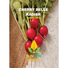 Radish Seeds, 500+ Cherry Belle, Heirloom, Non-GMO Seeds, Raphanus sativus.