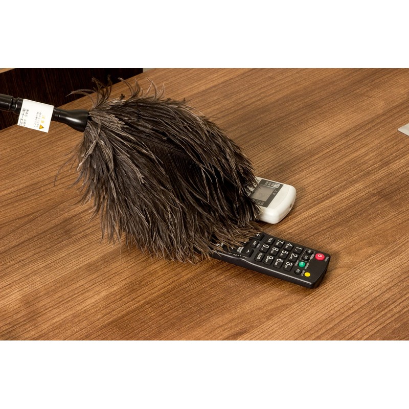 ESCI [Made in Japan] For Dusting Dashboards and Desks! Ostrich