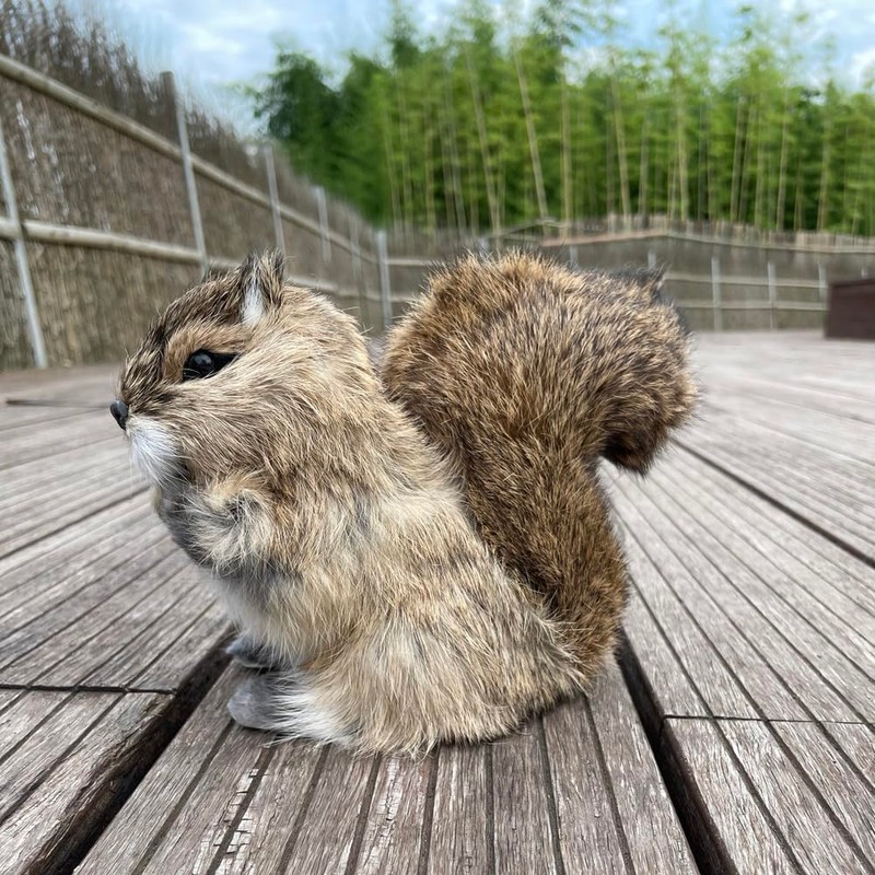 FlyEgg Lovely Squirrel Realistic Figurine for Home Garden Decoration