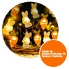 10 Feet 30 LED Light Strings Decorations,Easter Decorations,Bedroom Decor,Easter Rabbit,Carrot,Party