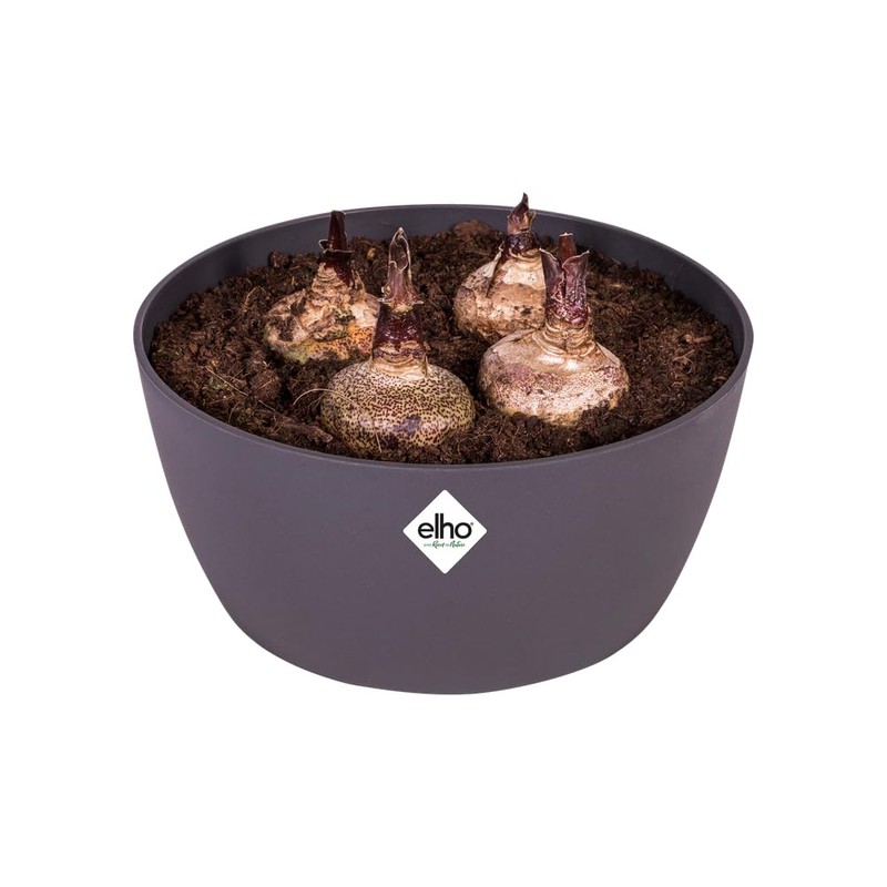 elho Brussels Bowl 23 - Flower Pot for Indoor -
