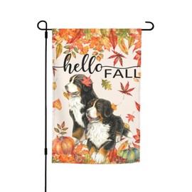 Hello Fall Bernese Mountain Dog Thanksgiving Garden Flag 12x18 Inch Double Sided Vertical Decoration Yard Small Flag For Outside Holiday Seasonal Outdoor