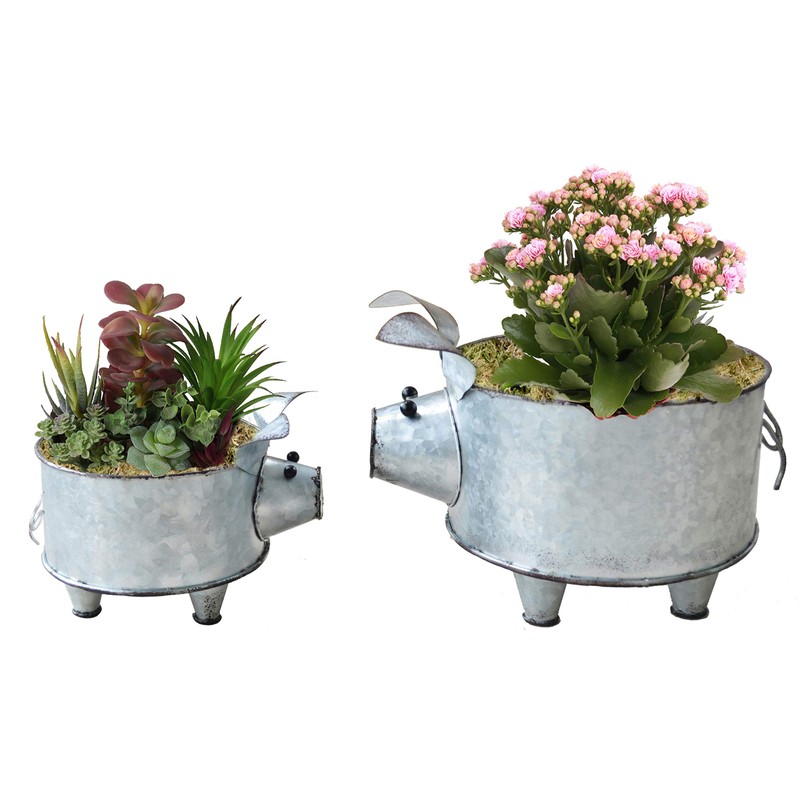 ShabbyDecor Galvanized Metal Pig Succulent Planter Farmhouse Pig Shaped Bowl
