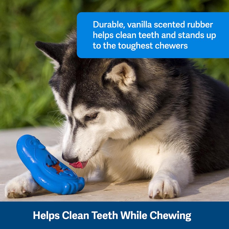 PetSafe Freezable Treat Food Dispensing Chew Toy, Small, Chilly Penguin,Blue