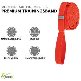 eaglefit - Multi Training Band by Flexvit Orange for Beginners - Resistance Bands for Effective Full Body Workout - Training Band/Fitness Band with Loops for Quick Intensity Change