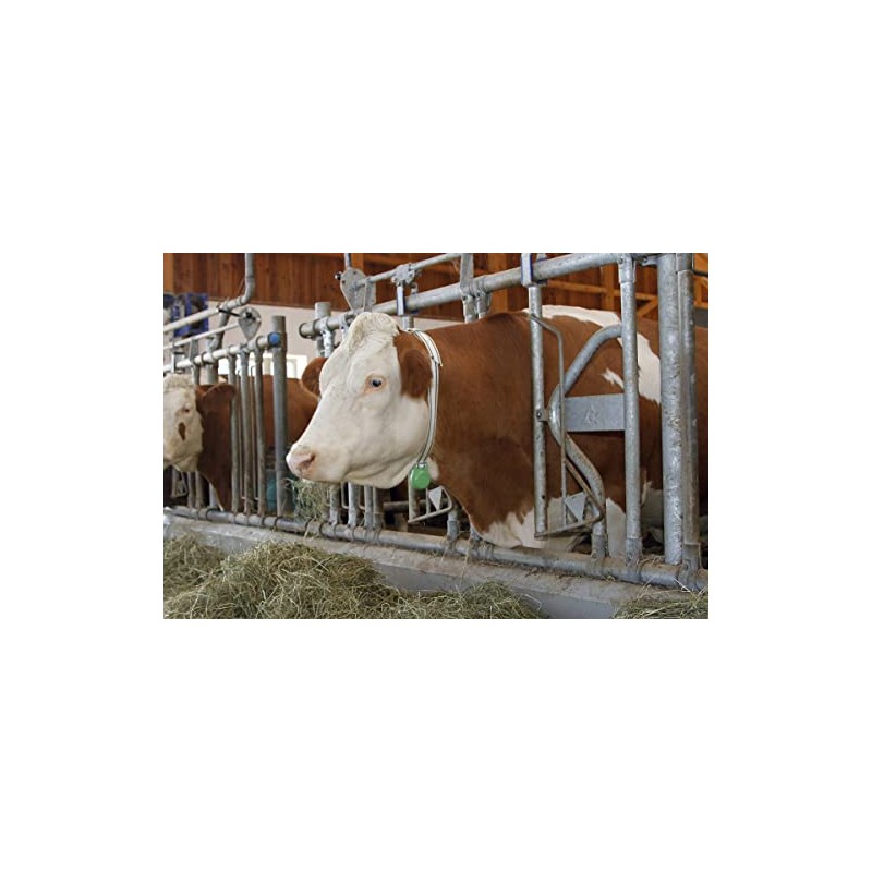 Kerbl 20810 Weight for Neck Marking Tape