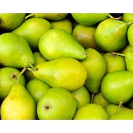 NorthWood Distributing Pear - Premium Fragrance Oil
