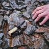 Bush Gear "Woodz" Fire Steel - Flint with Handmade Handle