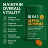 10 in 1 Alpha Gummies, 4000mg Himalayan Alpha Shilajit Gummies