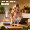 Aceites Esenciales Aromaterapia Set Botellas Kit Elaborado Ingredientes Naturales Adecuado