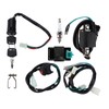 Kill Switch Ignition Coil CDI Spark Plug Wiring Harness Kit