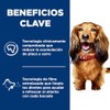 Hill's Science Diet Croquetas De Cuidado Oral para Perro Sabor