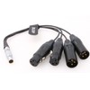 ZBLZGP Audio Breakout Input Output Cable 10 Pin Male to