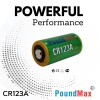 PoundMax CR123A 3.0v Lithium Camera Battery - 2 Count