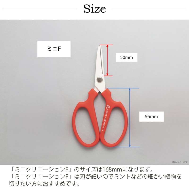 Sakagen 20382 Fresh Flower Shears, Mini Creation F, Fluorine Coating,
