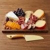 Norpro Cheese Knife, Multicolored