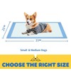 100Count Pet Pee Pad,Activated Carbon Pet Pee Pad- 60x60cm (23''