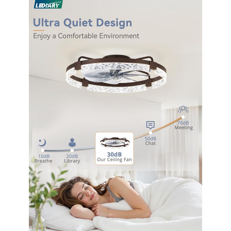LEDIARY 24 Inch Low Profile Ceiling Fans with Lights and