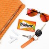 Trident Sugar-Free Chewing Gum Variety Pack Candy, Watermelon Twist &