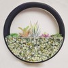 GASPRO 2.5 Pound Pebbles for Indoor Plants, 3/8 Inch Decorative