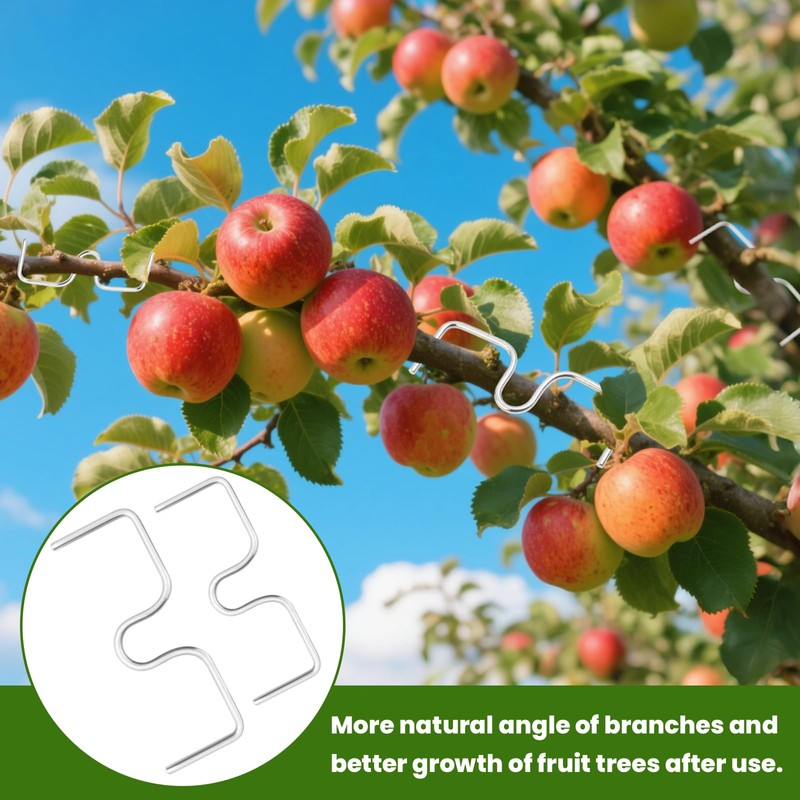 Pack of 30 Branch Separators for Fruit Trees, 8/10 cm