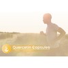 Pure Original Ingredients Quercetin (100 Capsules) Always Pure, No Additives