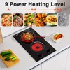 Cooksir Cooksir 2 Burner Electric Cooktop - 12 Inch Built-in