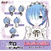 Re:Zero Starting Life in Another World Rem Teary Smile Ver.