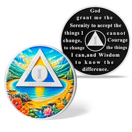 1 Year Sobriety Coin - NA/AA Recovery Chip and Medallion with Serenity Prayer - Triangle Affirmation Token Gift for Sober Women & Men in Addiction Recovery