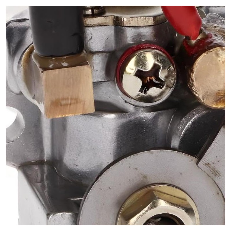 Oil Pump for Piaggio 50 cc Carburettor Models