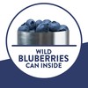 Krusteaz Wild Blueberry Muffin Mix, 17.1 OZ (Pack of 12)