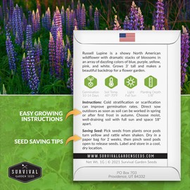 Survival Garden Seeds - Russell Lupine Seed for Planting - Packet with Instructions to Plant and Grow Wildflowers Outdoors in Your Home Vegetable or Flower Garden - Non-GMO Heirloom Variety