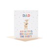 Boofle Birthday Card for Dad - Cute Design
