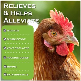 Chicken's Choice Wound Care for Chickens & Birds. Advanced Wound Care Spray for Poultry. Works for Bumblefoot, Vent Prolapse, Pecking Sore, Burns & Skin Irritations. Makes 32 oz Spray.