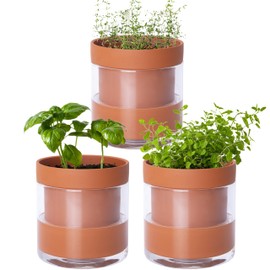 Phoenix Vine 4 Inch Self Watering Planter Pot, Terracotta Clay Pot with Glass Reservoir for Indoor Plants, Herbs, Flowers, Set of 3, 52-A-E-3