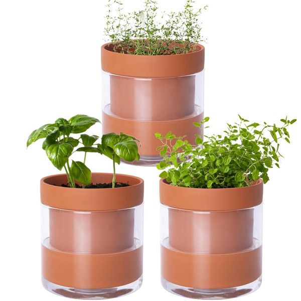 Phoenix Vine 4 Inch Self Watering Planter Pot, Terracotta Clay