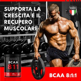 BANDINI BCAA 8.1.1 500 Tablets, Branched Chain Amino Acids BCAA 8.1.1, L-Leucine, L-Isoleucine, L-Valine with Vitamin B1 and B6, Vegan, Dietary Supplement Before and After Training