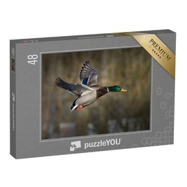 puzzleYOU: Jigsaw Puzzle 48 Piece Mallard in Flight - Ducks Puzzle Collection