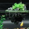 AQUA KT Turtle Floating Rock Tortoise Dock Basking Island Platform