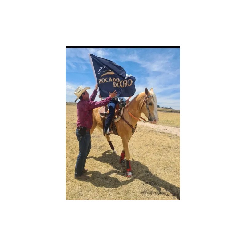 Premios Caballo Bocado De Oro, Zanahoria Avena, Cubeta 2 Kg