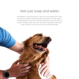 Pet Parents® Pet WiPees™ Dog All Purpose + Skin & Coat Pet Wipes, Pet Wipes for Dogs, Dog Wipes & Puppy Wipes, Paw Wipes for Dogs (100 Count (Pack of 2), Natural)