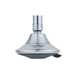 Fixed shower head
