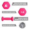 LIONSCOOL Neoprene Coated Dumbbell Weights (Rose Pink 1lb Pair)