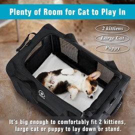 PEGIC Extra Large Cat Carrier for Car Travel, Pegic Soft Sided Collapsible Pet Carrier for Outdoor and Indoor Uses, Roomy Cat Carrier for 2 Kittens, Large Cat or Puppies Up to 50lbs (Black)