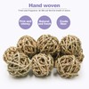10 Pcs Small Animals Play Balls Rolling Activity Chew Toys