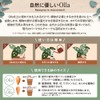 [Global Box] Potted Plants Watering Pottery Unglazed Watering Plants Plants