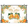 10X8ft Twin Baby Shower Photo Backdrop Photography Background, Two Little