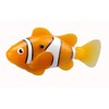Robofish Clown Fish WMU