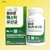 Mastic Extract Ingredient Extract Mastic Gum Lactic Acid Bacteria Efficacy