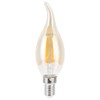 10PCS C35 LED Gold Filament Bulb 2700K 4W E14 Base